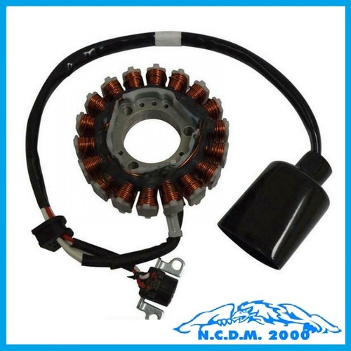 Statore magnete 163080 - magnete,